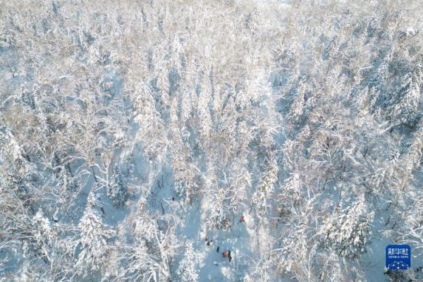 京海配资 走进牡丹江“冰雪画廊”