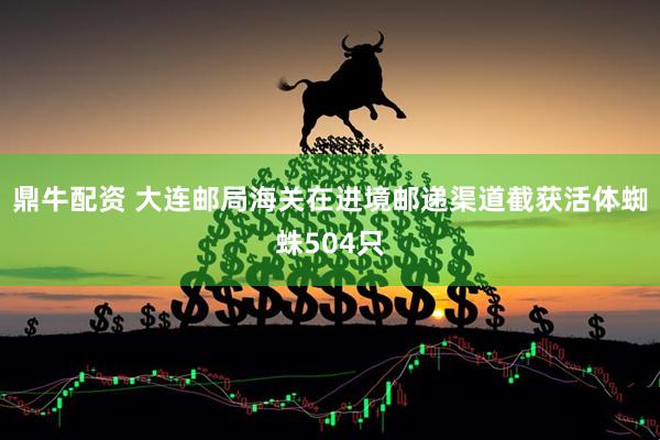 鼎牛配资 大连邮局海关在进境邮递渠道截获活体蜘蛛504只