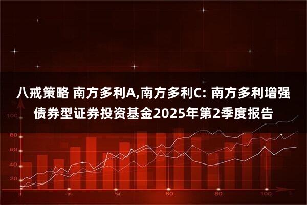 八戒策略 南方多利A,南方多利C: 南方多利增强债券型证券投资基金2025年第2季度报告